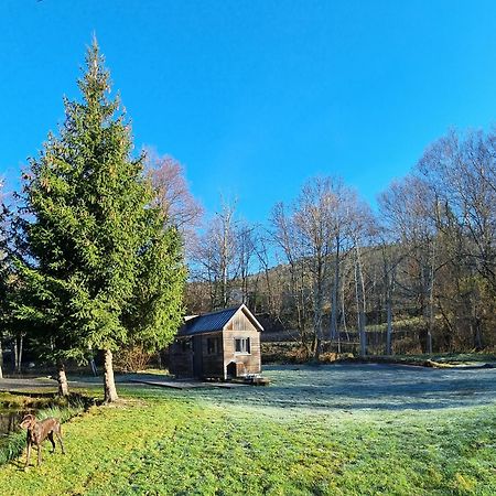 Insolite Tiny House Serenite Bien Etre Ban-sur-Meurthe-Clefcy Dış mekan fotoğraf