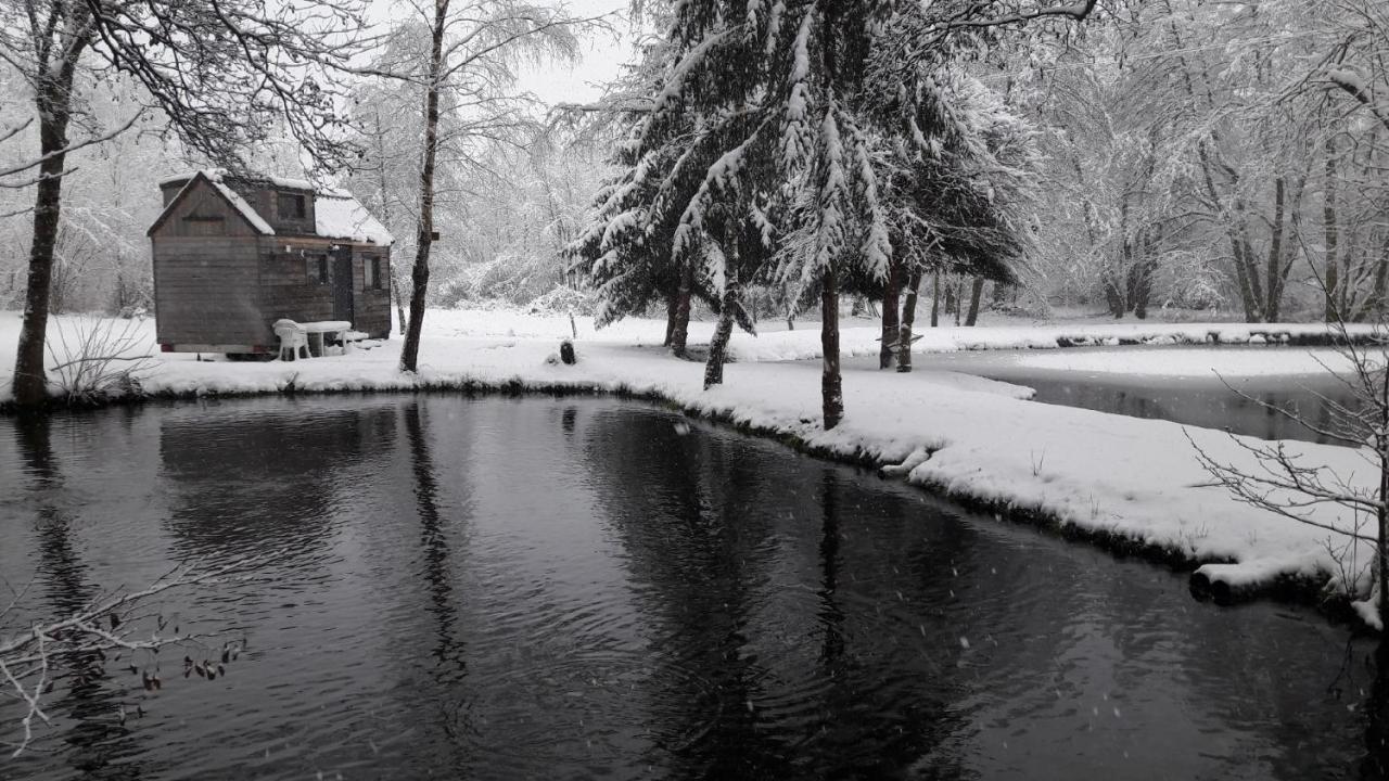 Insolite Tiny House Serenite Bien Etre Ban-sur-Meurthe-Clefcy Dış mekan fotoğraf