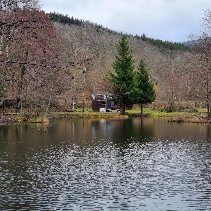 Insolite Tiny House Serenite Bien Etre Ban-sur-Meurthe-Clefcy Dış mekan fotoğraf