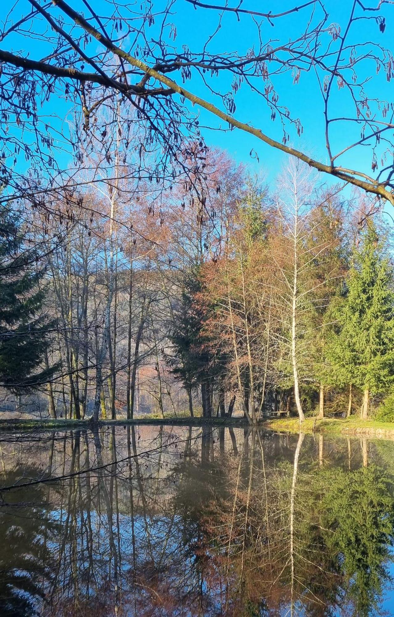 Insolite Tiny House Serenite Bien Etre Ban-sur-Meurthe-Clefcy Dış mekan fotoğraf
